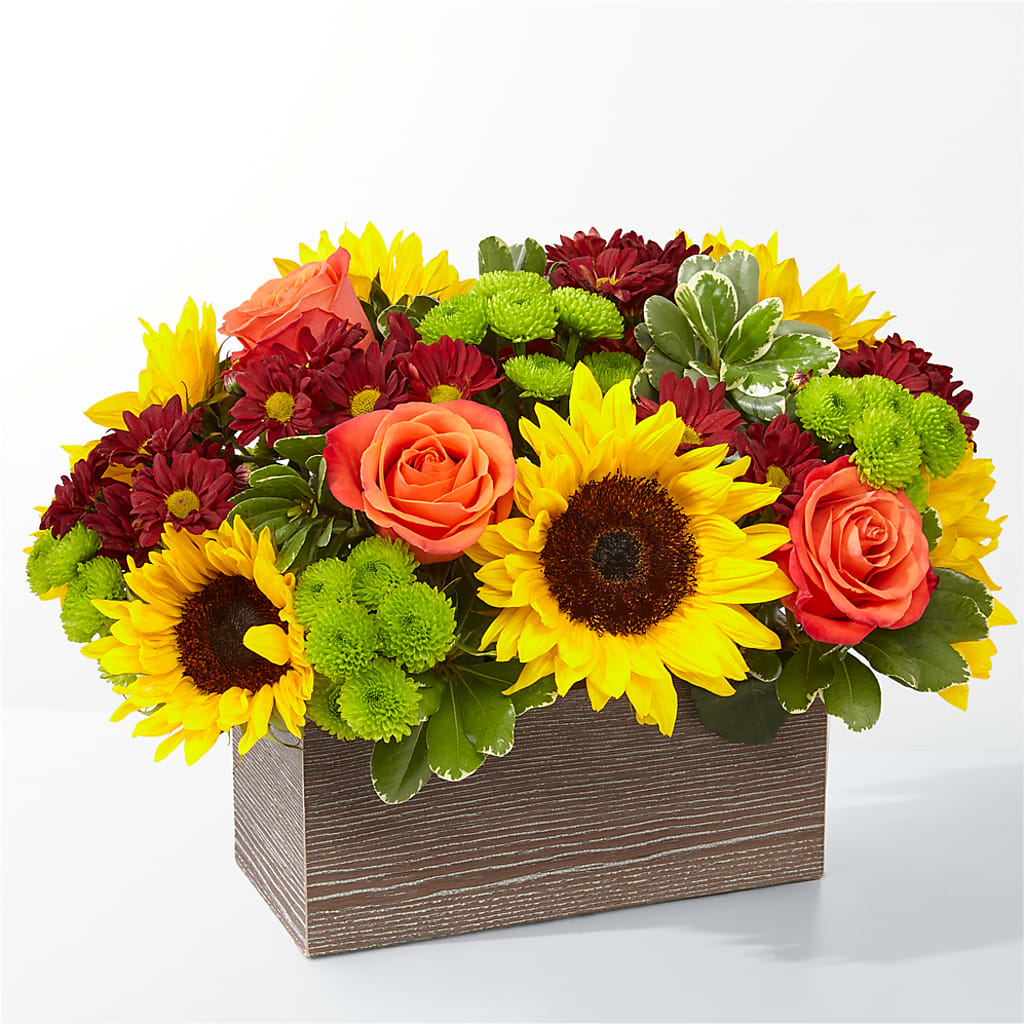 Happy Harvest Garden – Colonial Floral Fascinations, Georgetown SC