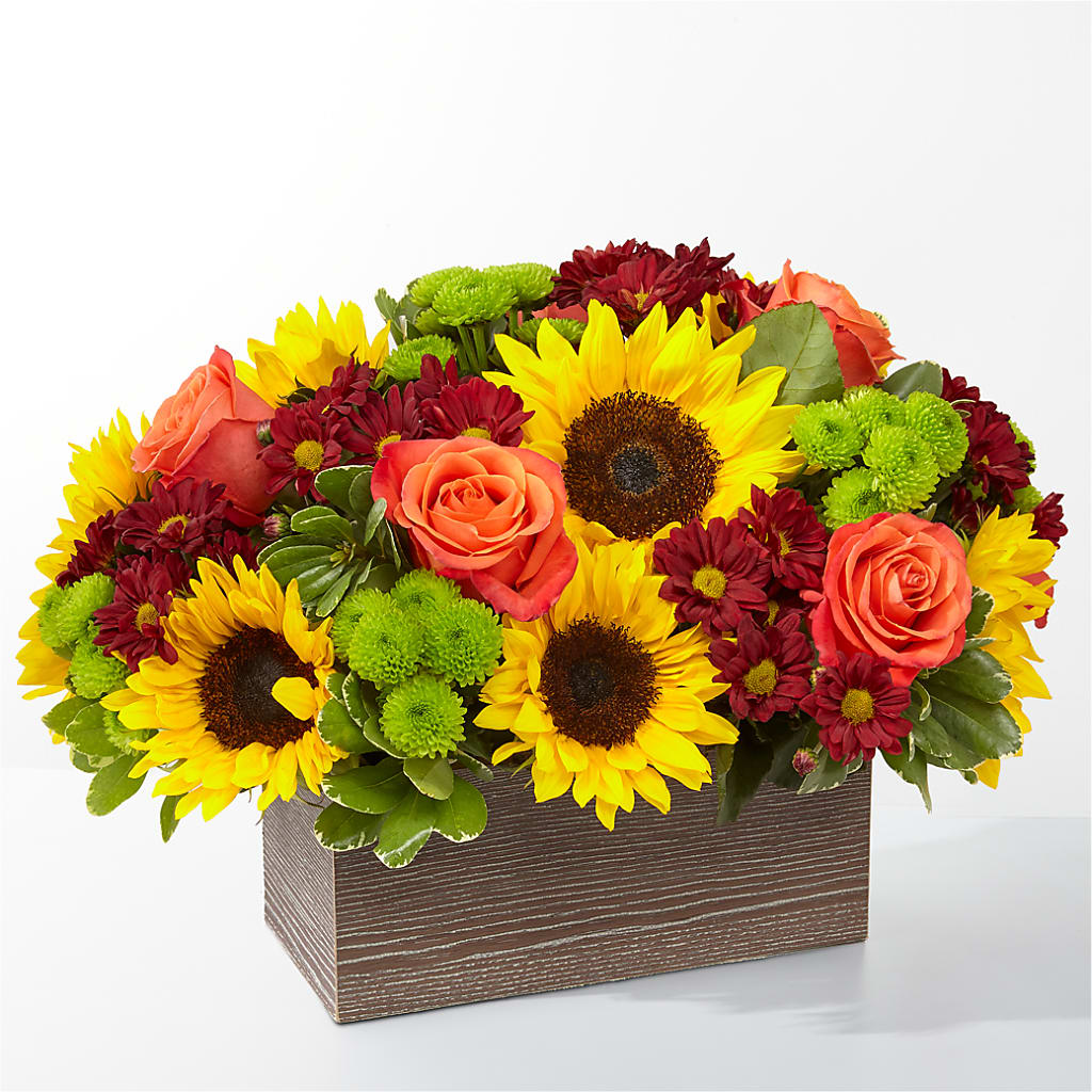 Happy Harvest Garden – Colonial Floral Fascinations, Georgetown SC