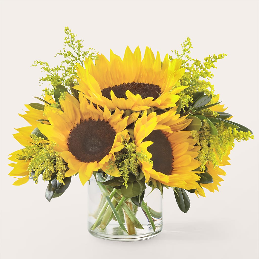 Beaming Sunflower Bouquet – Colonial Floral Fascinations, Georgetown SC