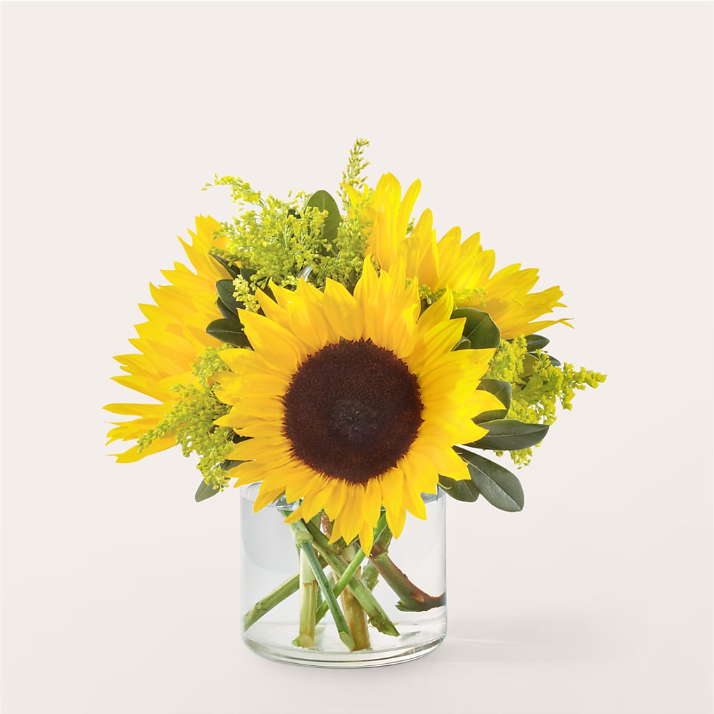 Beaming Sunflower Bouquet – Colonial Floral Fascinations, Georgetown SC
