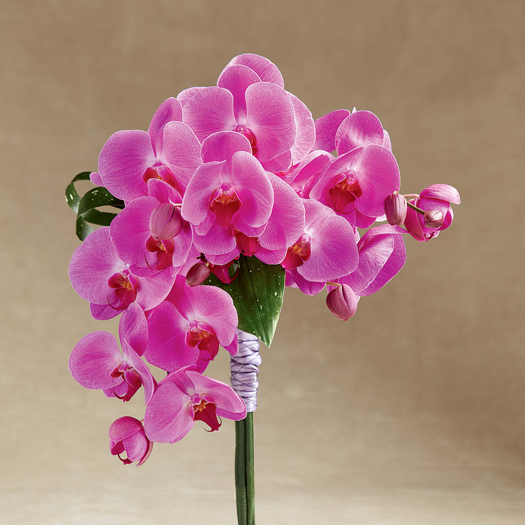 Glorious Bouquet – Colonial Floral Fascinations, Georgetown SC