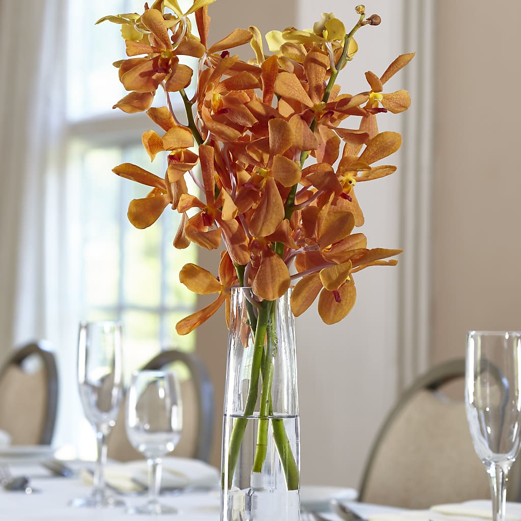Orange Mokara Bud Vase – Colonial Floral Fascinations, Georgetown SC