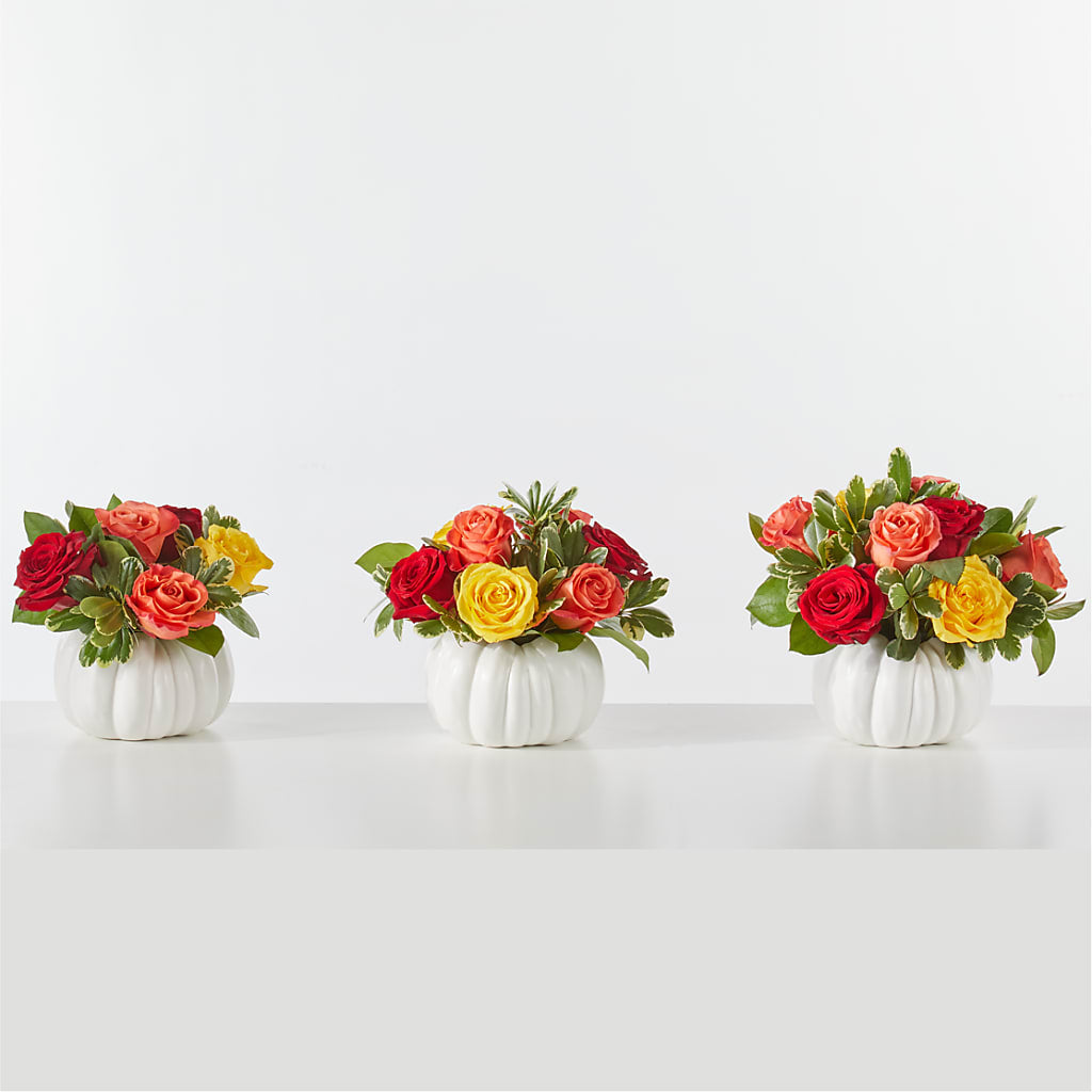 Gourd of Gratitude –  Colonial Floral Fascinations, Georgetown SC