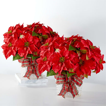 Happiest Holidays Poinsettia Bundle –  Colonial Floral Fascinations, Georgetown SC