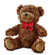 Adorable Plush Bear –  Colonial Floral Fascinations, Georgetown SC
