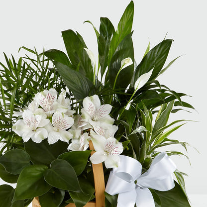 Peace & Serenity Dishgarden –  Colonial Floral Fascinations, Georgetown SC