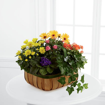Gentle Blossoms Basket –  Colonial Floral Fascinations, Georgetown SC