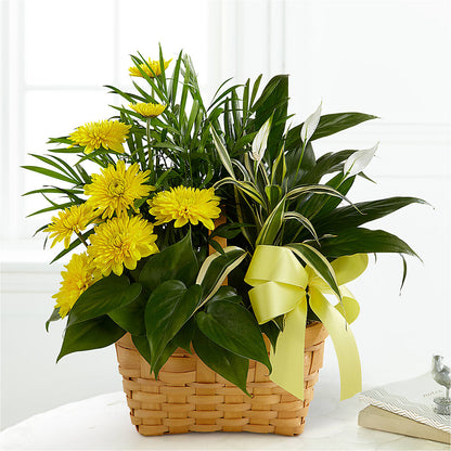 Loving Light Dishgarden –  Colonial Floral Fascinations, Georgetown SC