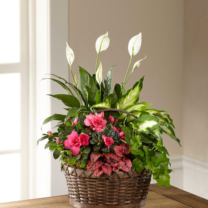 Dream in Pink Dishgarden –  Colonial Floral Fascinations, Georgetown SC