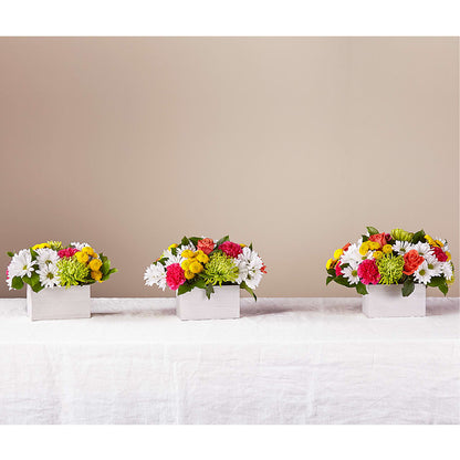 Sorbet Bouquet –  Colonial Floral Fascinations, Georgetown SC