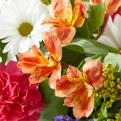 Oopsie Daisy Box Bouquet –  Colonial Floral Fascinations, Georgetown SC