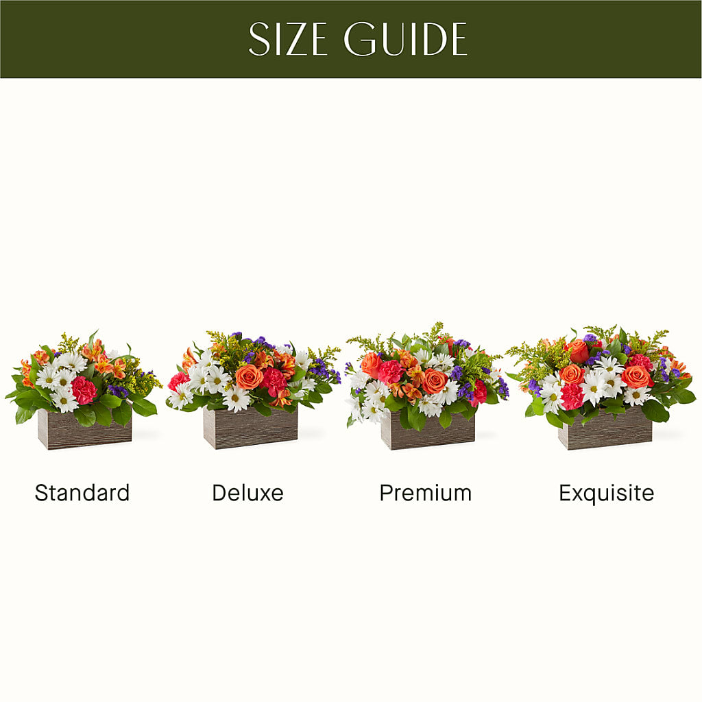 Oopsie Daisy Box Bouquet –  Colonial Floral Fascinations, Georgetown SC