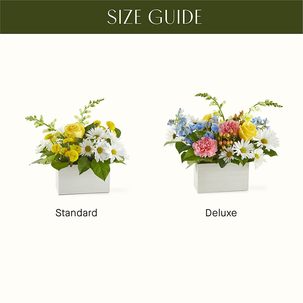 Sun Salutation Box Bouquet –  Colonial Floral Fascinations, Georgetown SC