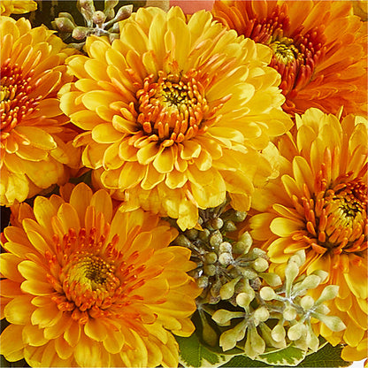 Peachy Pumpkin –  Colonial Floral Fascinations, Georgetown SC