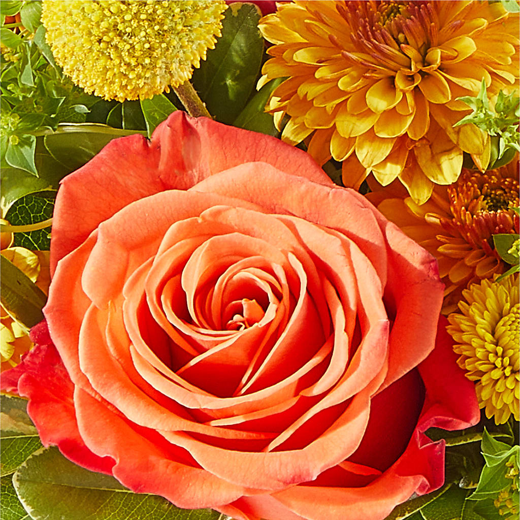 Gourdgeous Pumpkin –  Colonial Floral Fascinations, Georgetown SC