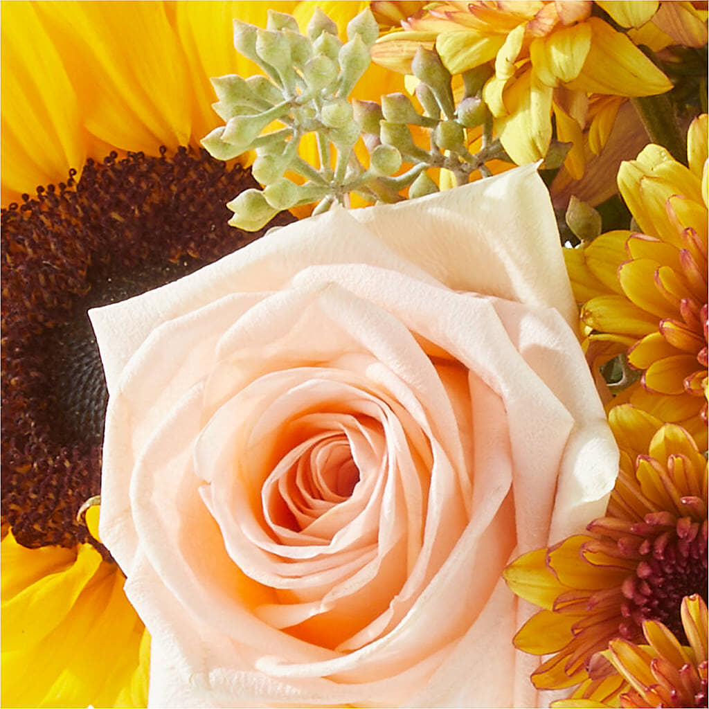 Pumpkin to Talk About Bouquet –  Colonial Floral Fascinations, Georgetown SC