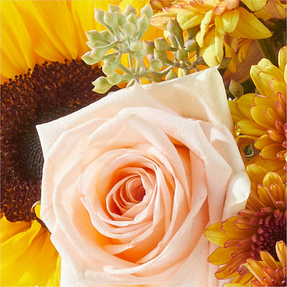 Pumpkin to Talk About Bouquet –  Colonial Floral Fascinations, Georgetown SC