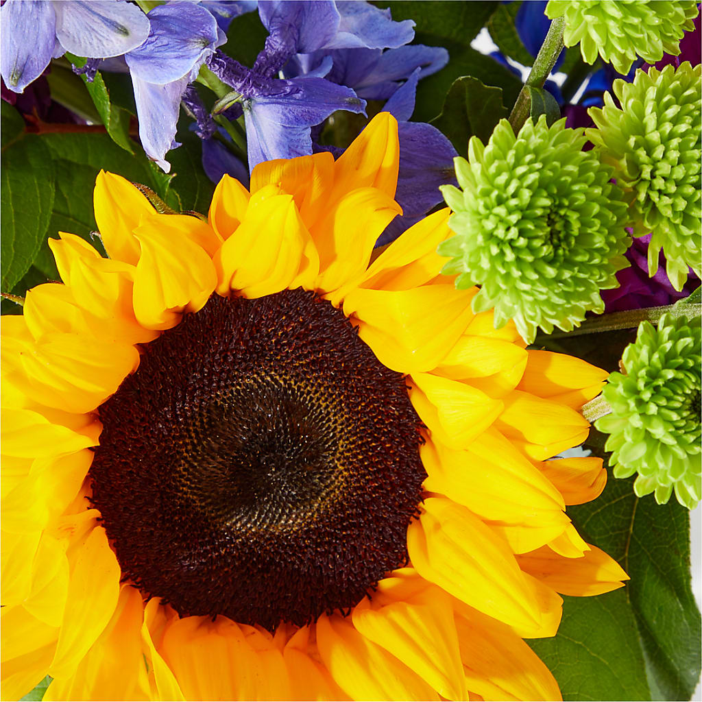 Catching Rays Bouquet –  Colonial Floral Fascinations, Georgetown SC