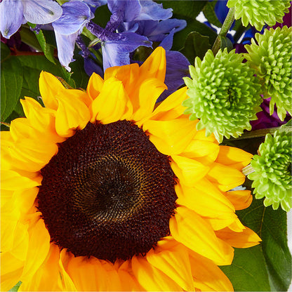 Catching Rays Bouquet –  Colonial Floral Fascinations, Georgetown SC