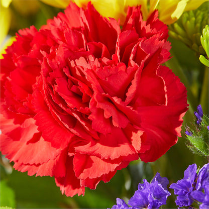 Brighter Days Bouquet –  Colonial Floral Fascinations, Georgetown SC