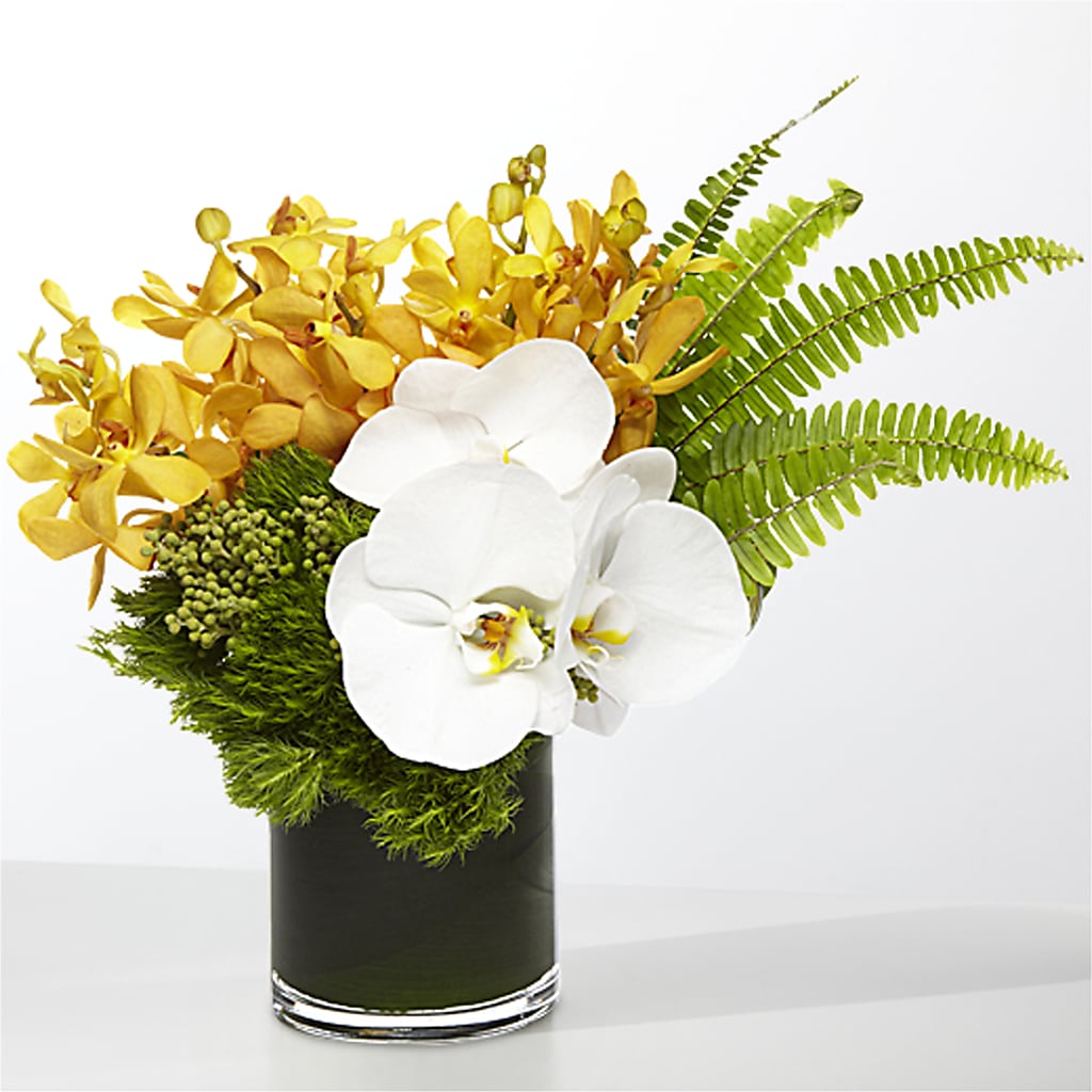 The Tropics –  Colonial Floral Fascinations, Georgetown SC