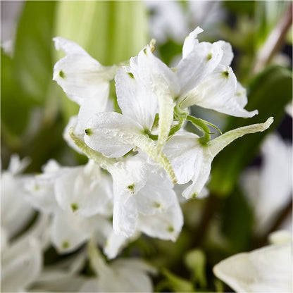 Classic Ivory – A Florist Original –  Colonial Floral Fascinations, Georgetown SC
