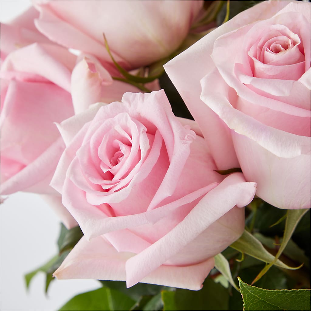 Picture Perfect Pink Rose Bouquet –  Colonial Floral Fascinations, Georgetown SC