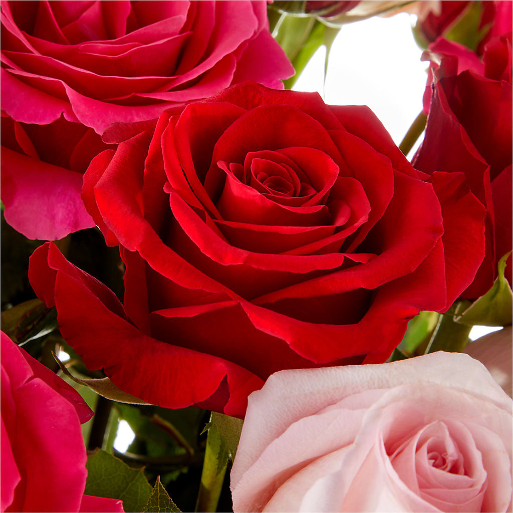 Love Notes Rose Bouquet –  Colonial Floral Fascinations, Georgetown SC