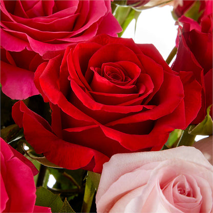 Love Notes Rose Bouquet –  Colonial Floral Fascinations, Georgetown SC