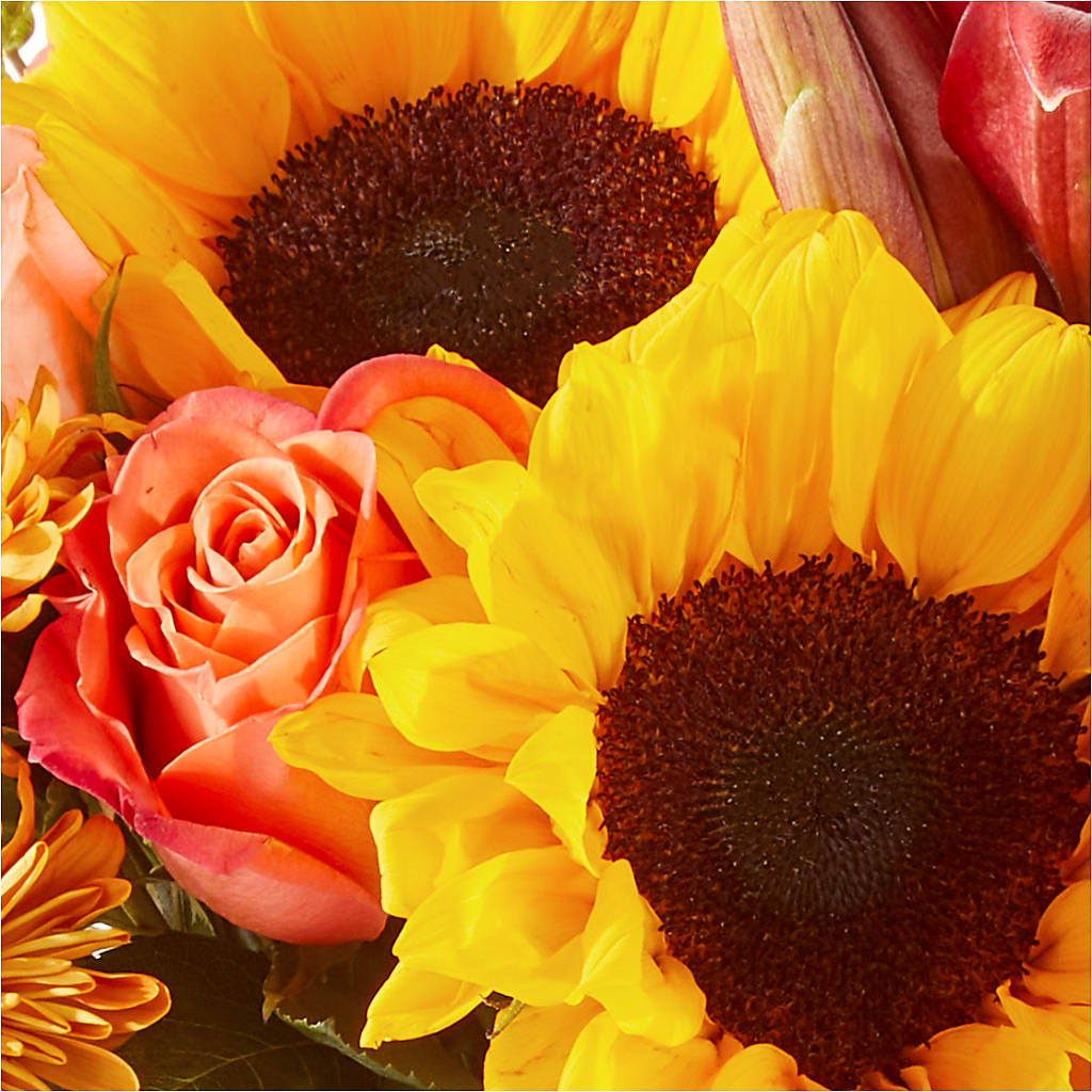 Acorn Lane Bouquet –  Colonial Floral Fascinations, Georgetown SC