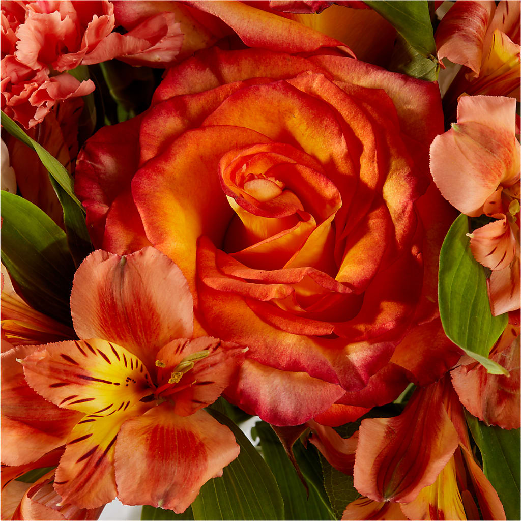 Apricot Glow Bouquet –  Colonial Floral Fascinations, Georgetown SC