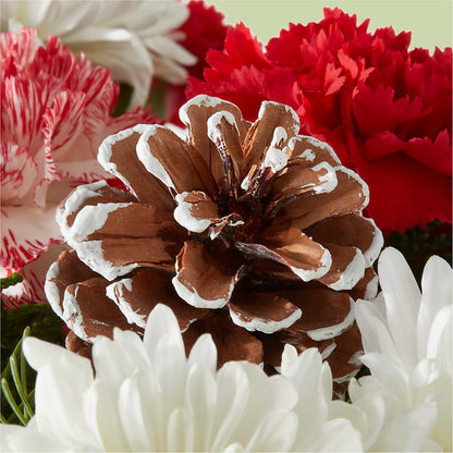 Candy Cane Lane Bouquet –  Colonial Floral Fascinations, Georgetown SC