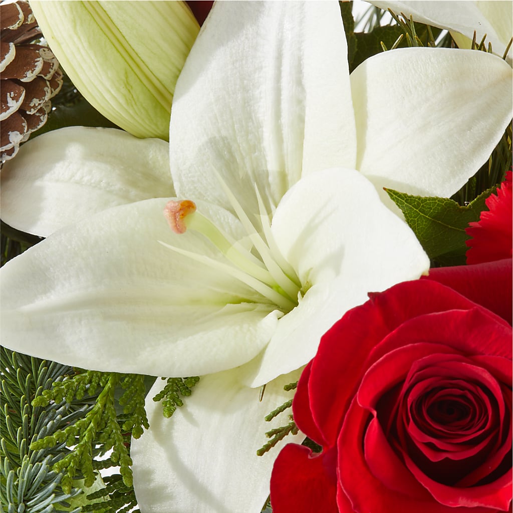 Oh So Jolly Bouquet –  Colonial Floral Fascinations, Georgetown SC