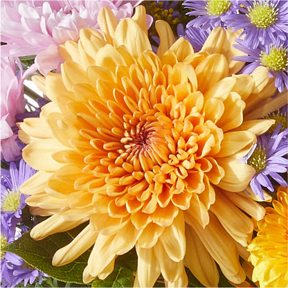 Countryside Bouquet –  Colonial Floral Fascinations, Georgetown SC