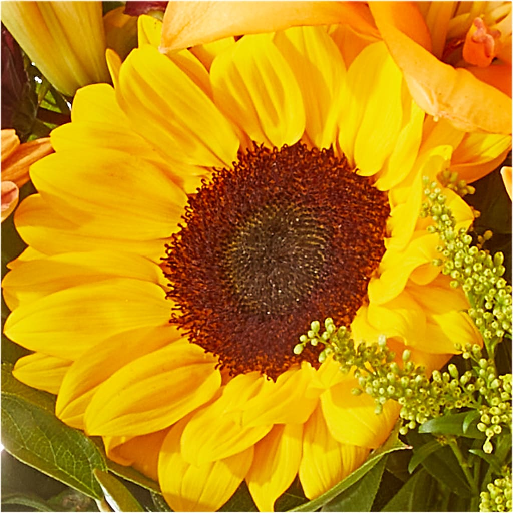 Seasons Change Bouquet –  Colonial Floral Fascinations, Georgetown SC