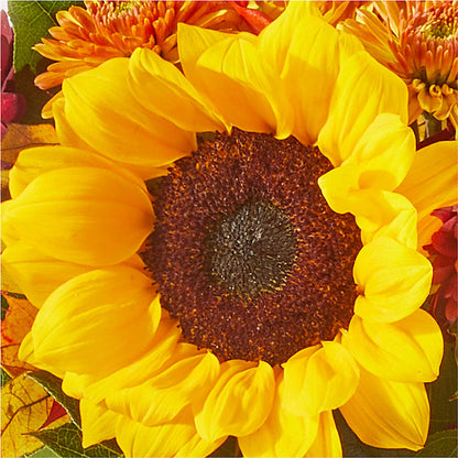 Sunny Side Bouquet –  Colonial Floral Fascinations, Georgetown SC