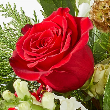 Deck the Halls Bouquet –  Colonial Floral Fascinations, Georgetown SC