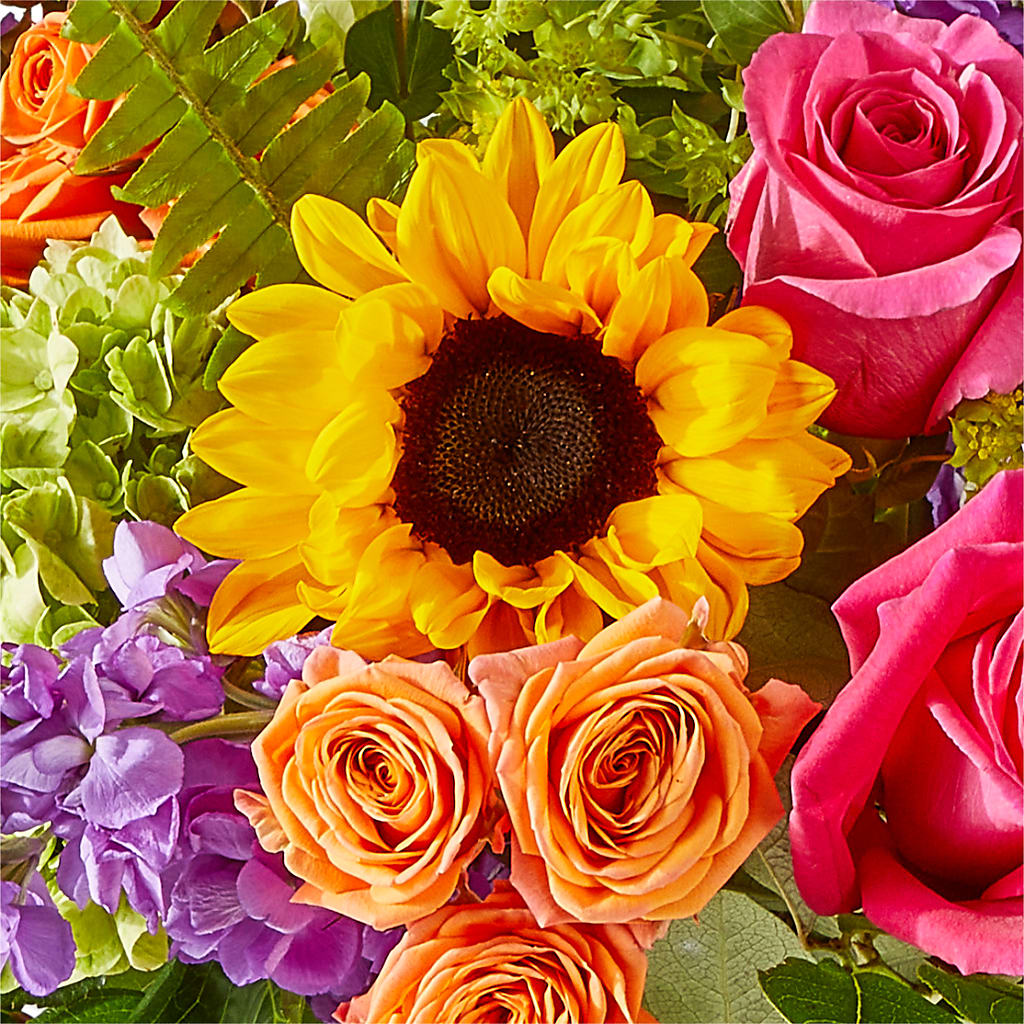 Vibrant Greetings Bouquet –  Colonial Floral Fascinations, Georgetown SC
