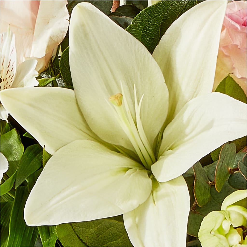 Ballet Slippers Bouquet –  Colonial Floral Fascinations, Georgetown SC