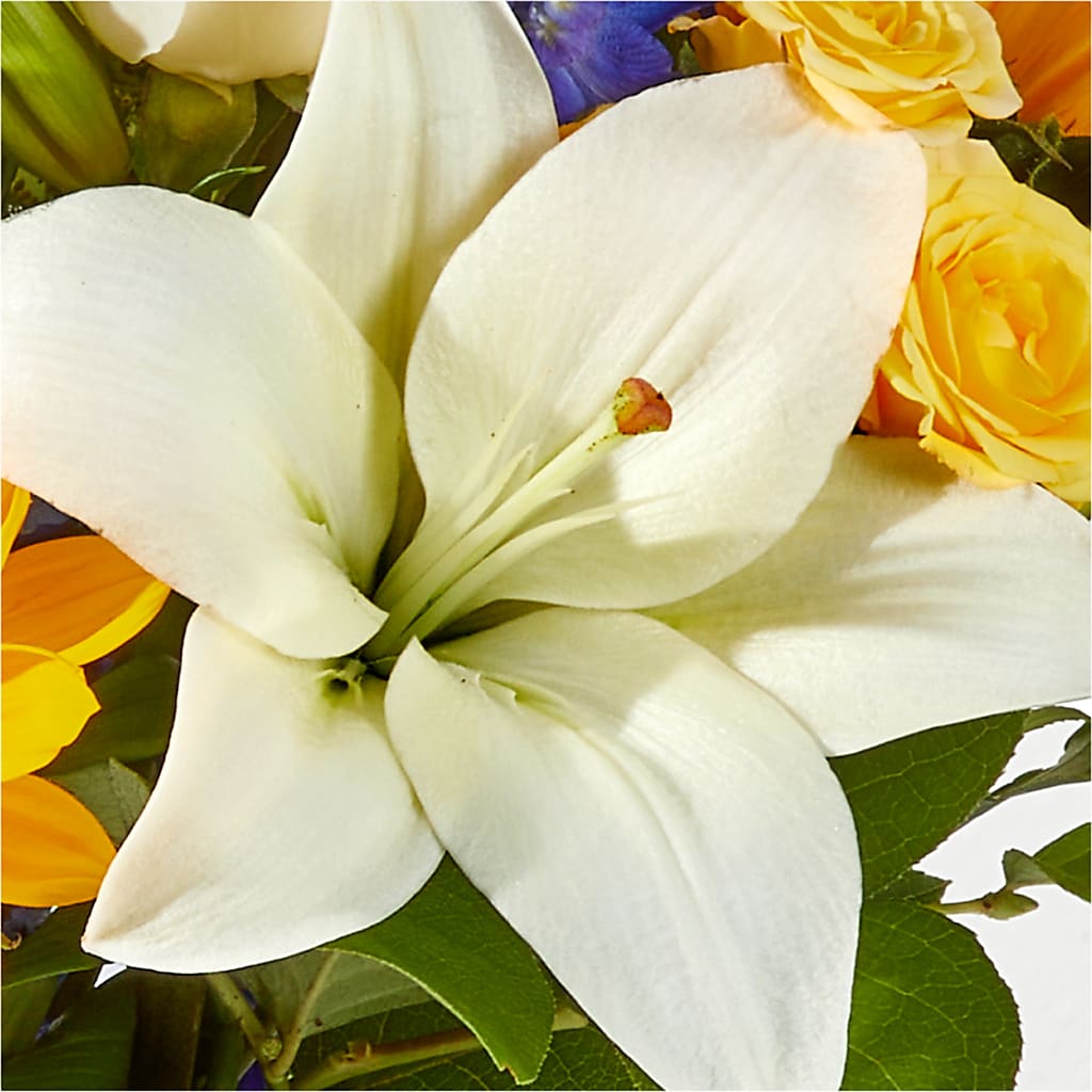Wonderfully Sunny Bouquet –  Colonial Floral Fascinations, Georgetown SC