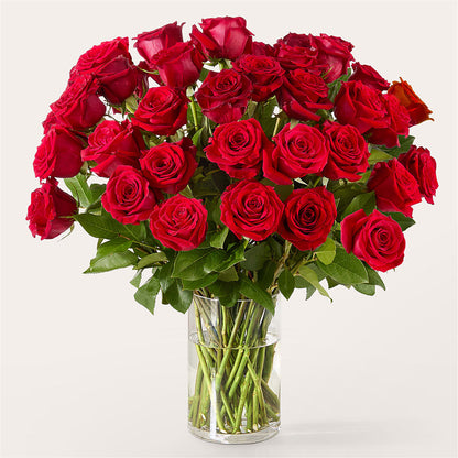 The One Red Rose Bouquet –  Colonial Floral Fascinations, Georgetown SC