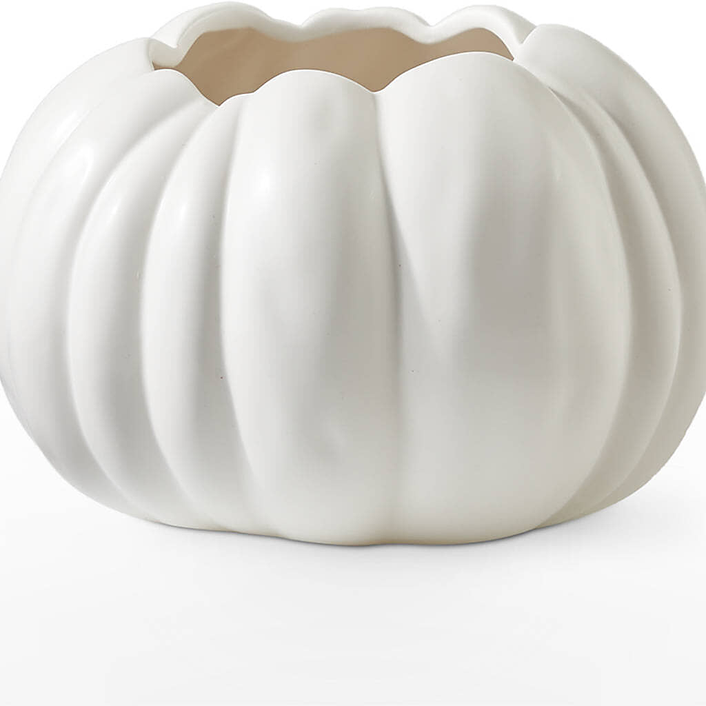 Pumpkin to Talk About Bouquet –  Colonial Floral Fascinations, Georgetown SC
