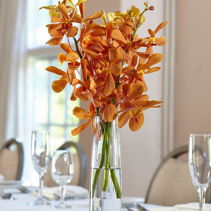 Orange Mokara Bud Vase –  Colonial Floral Fascinations, Georgetown SC
