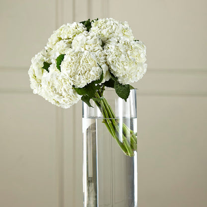 White Hydrangea Hand-Tied Bouquet –  Colonial Floral Fascinations, Georgetown SC
